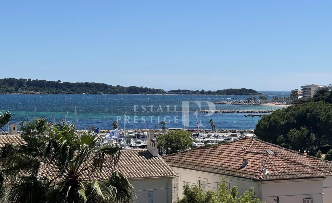 CANNES Palm Beach – Beautiful sea views